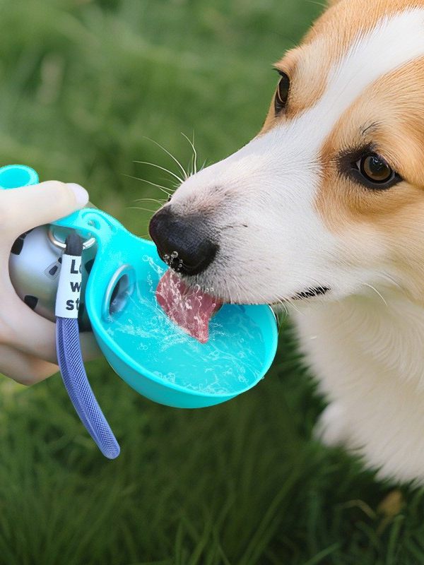 Portable Dog Water Bottle - Leakproof Stainless Steel Travel